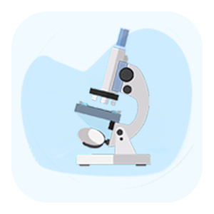 Biology Olympiad for Class 12 - School Connect Online